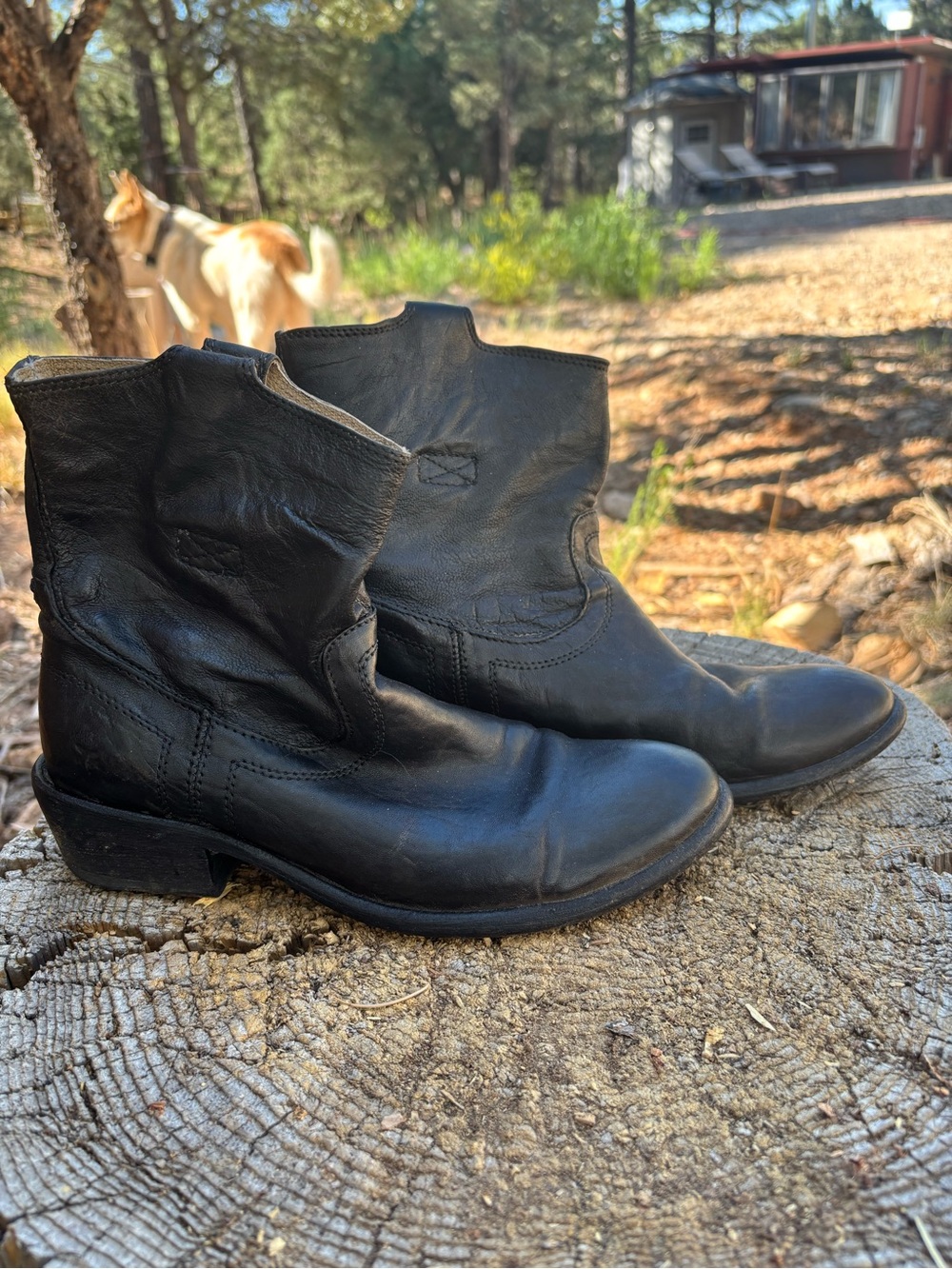 Women’s Frye ankle boots size 6.5